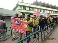 Pulse Polio Rally 3